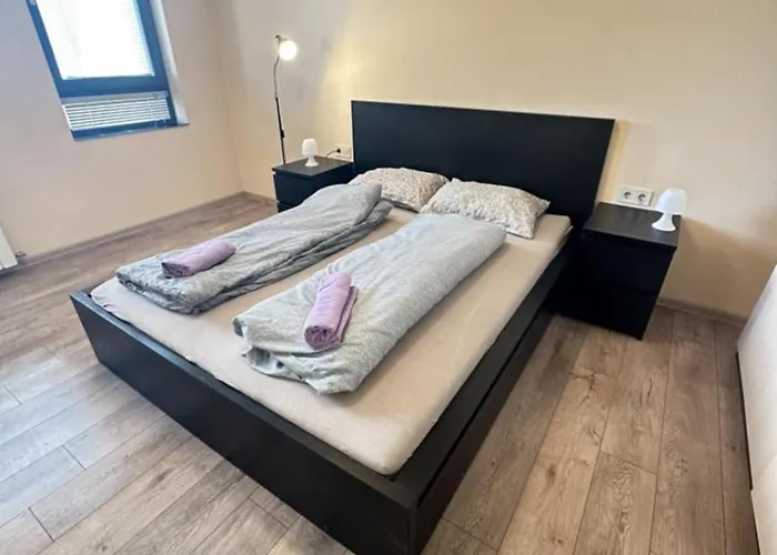 Paradise Comfort * ソフィア